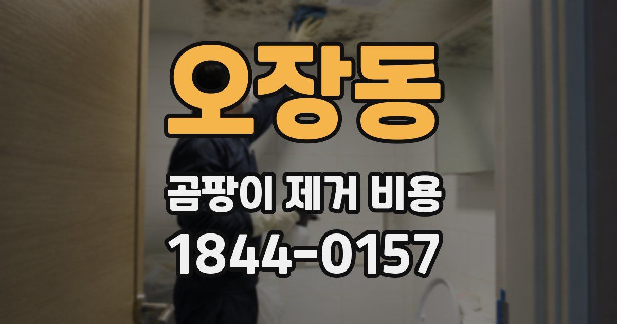 오장동 곰팡이 제거 비용