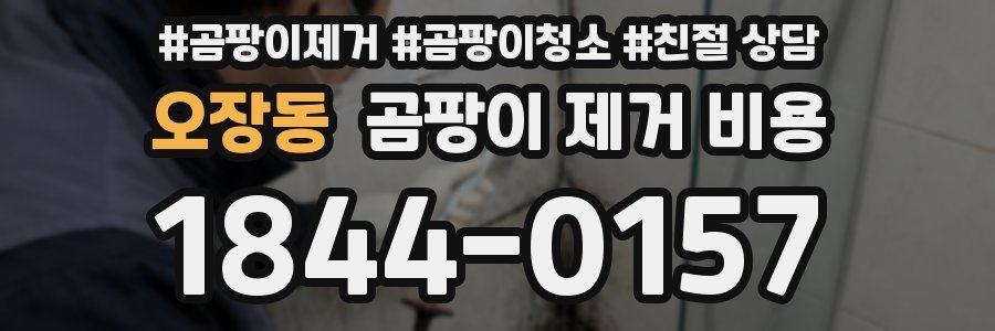 오장동 곰팡이 제거 비용