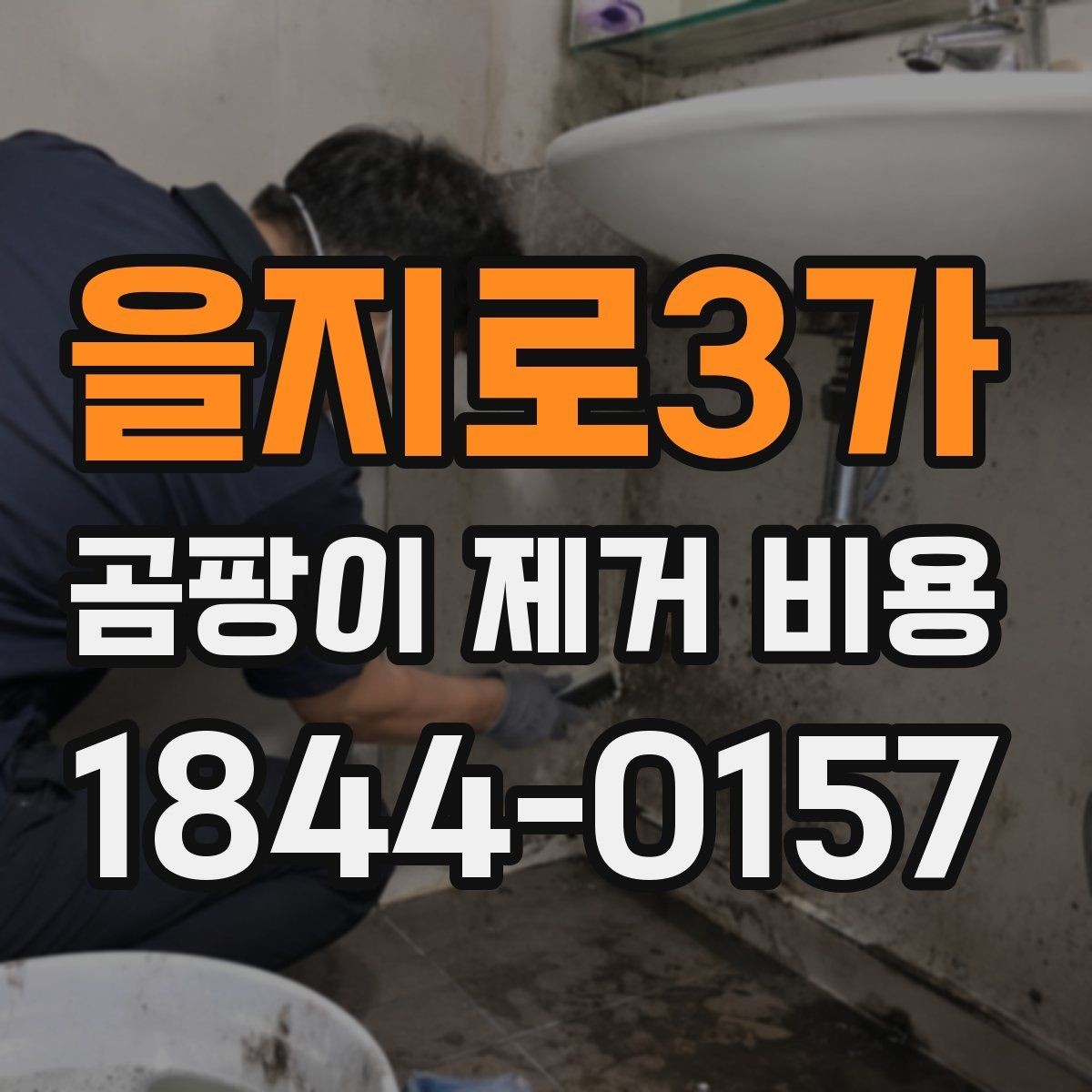 을지로3가 곰팡이 제거 비용 계산에 영향을 주는 요소들