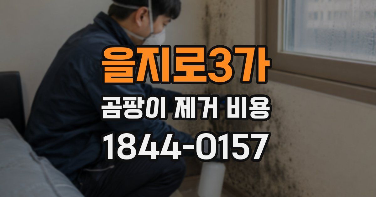 을지로3가 곰팡이 제거 비용