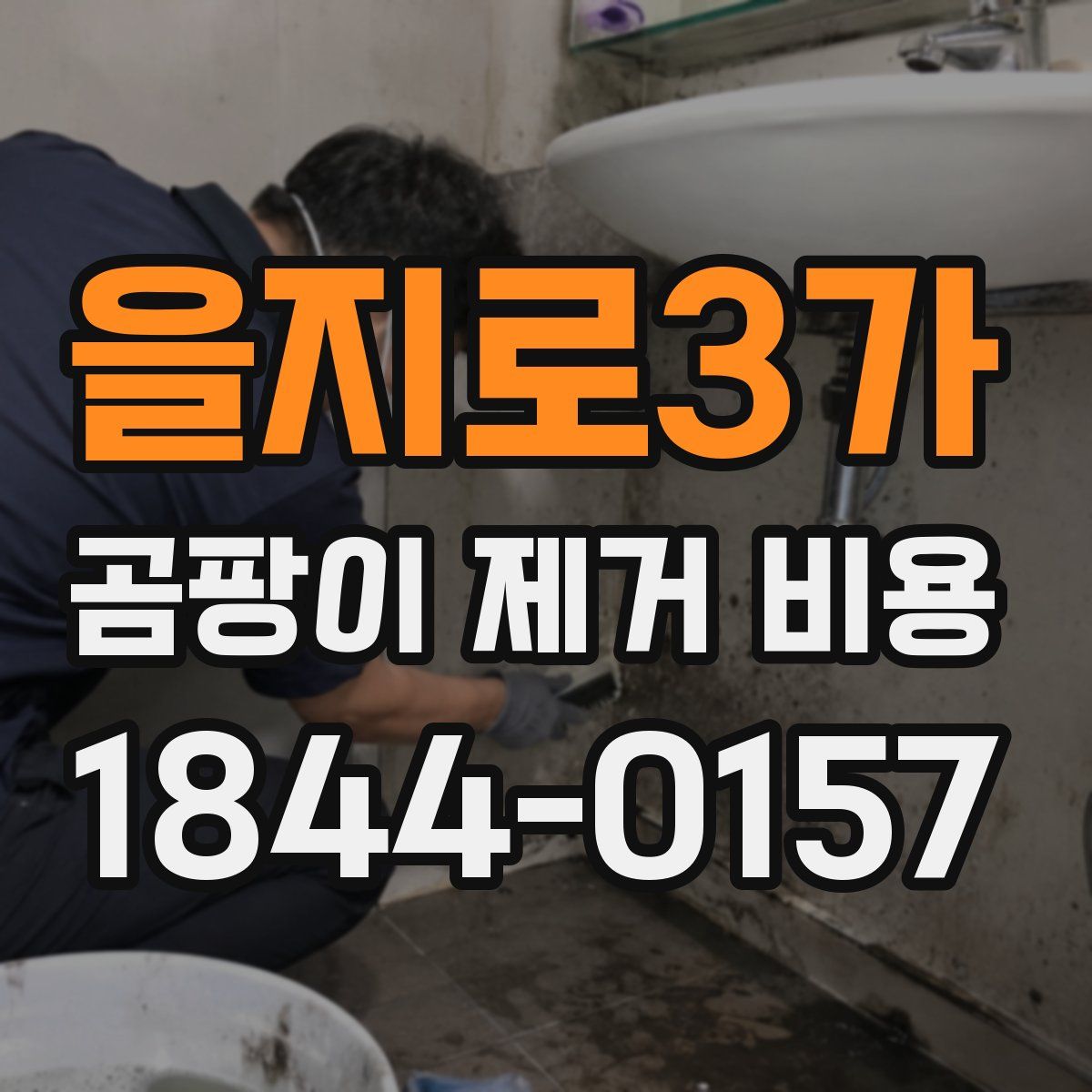 을지로3가 곰팡이 제거 비용