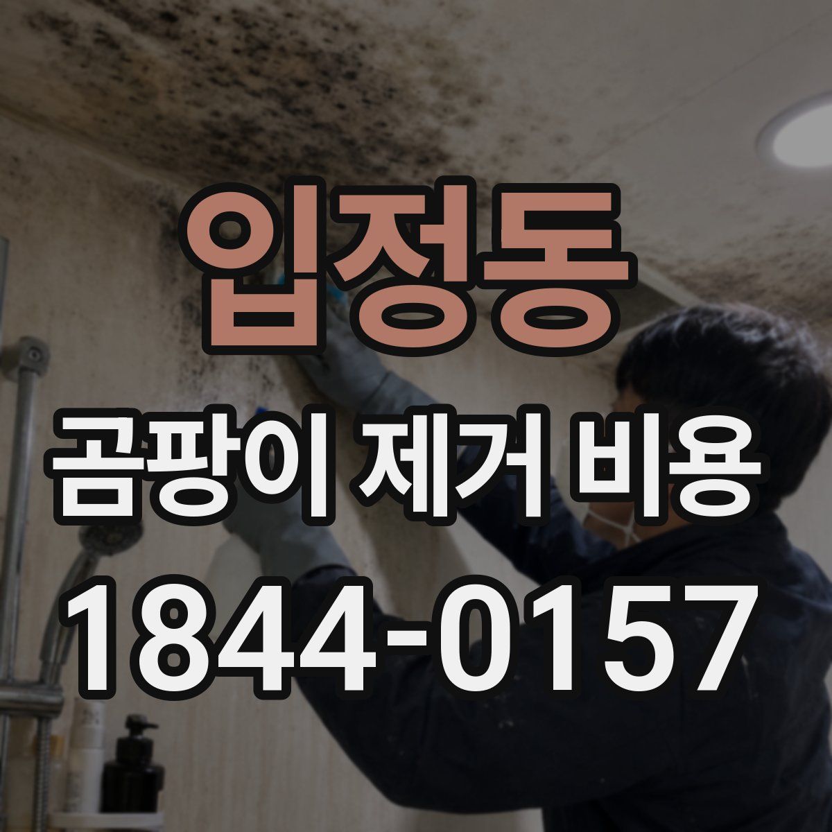 입정동 곰팡이 제거 비용