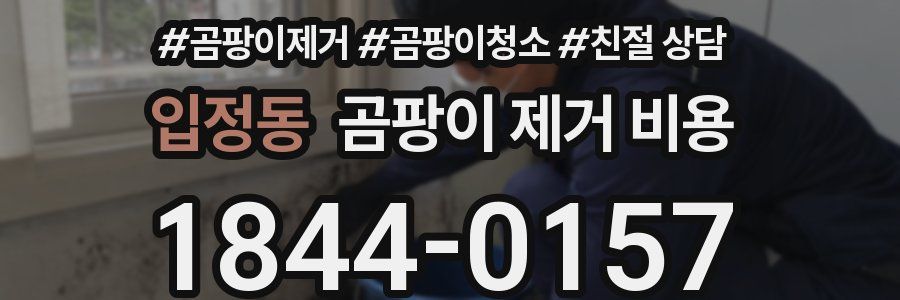 입정동 곰팡이 제거 비용