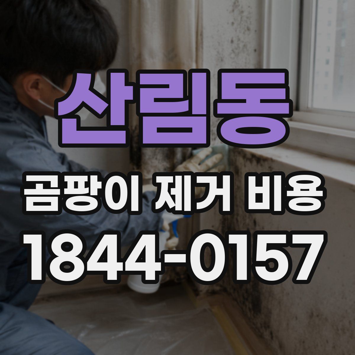 산림동 곰팡이 제거 비용