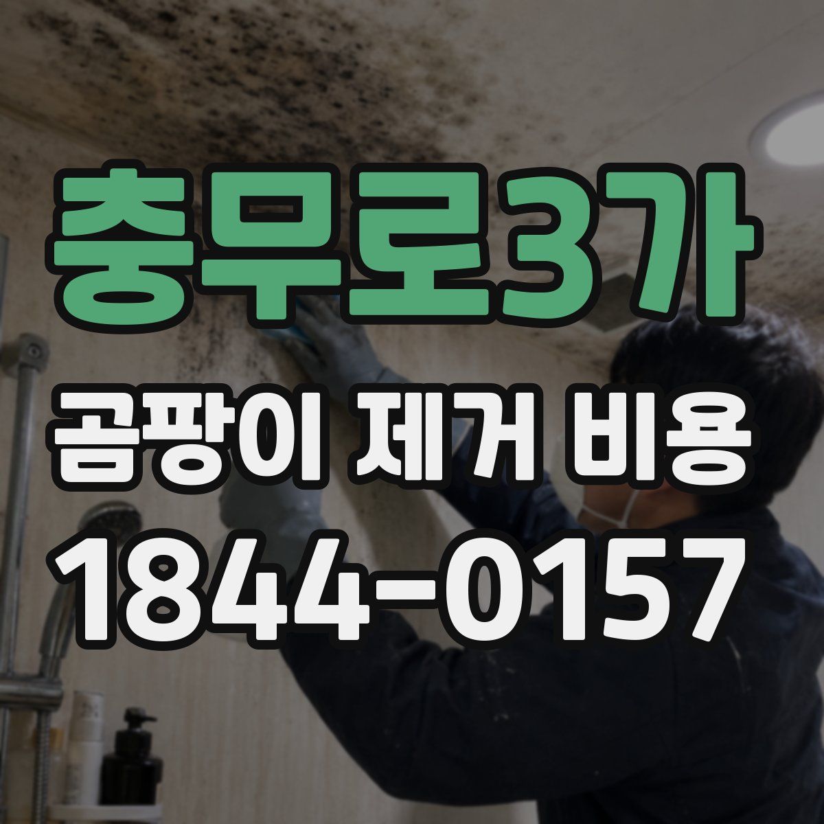 충무로3가 곰팡이 제거 비용