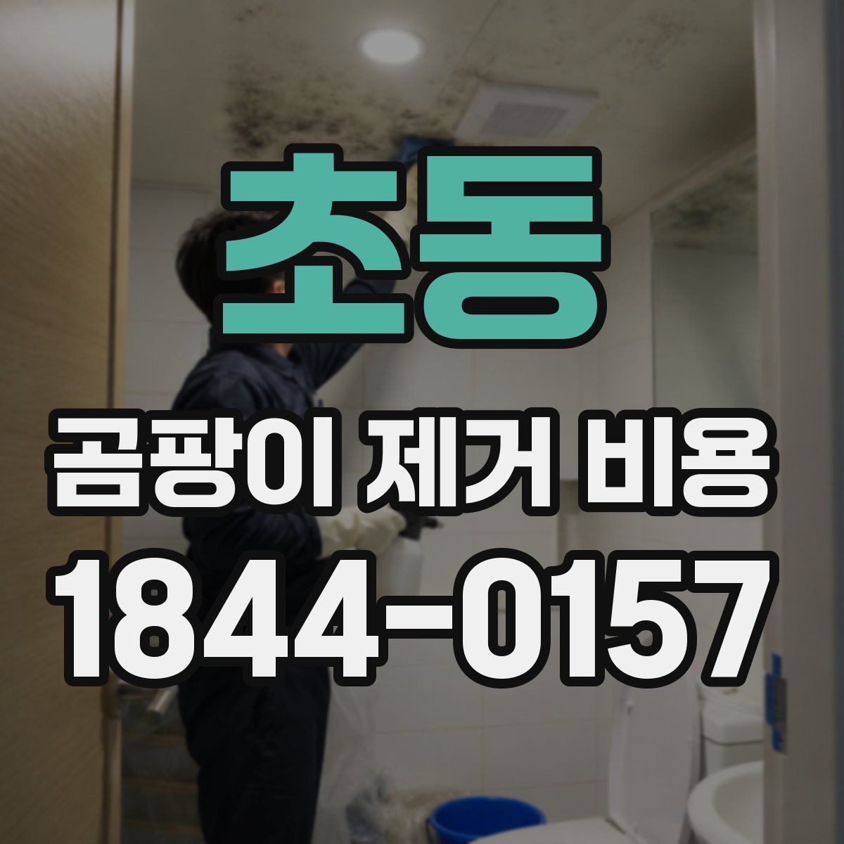 초동 곰팡이 제거 비용