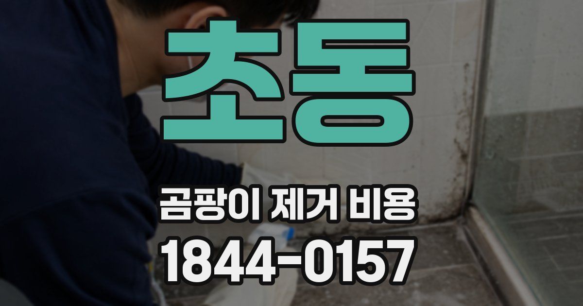 초동 곰팡이 제거 비용