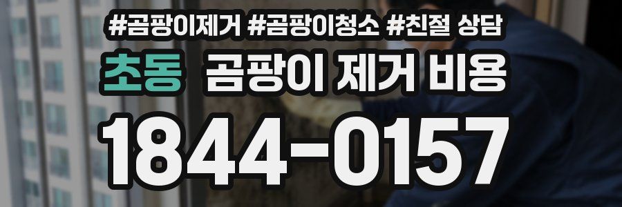 초동 곰팡이 제거 비용