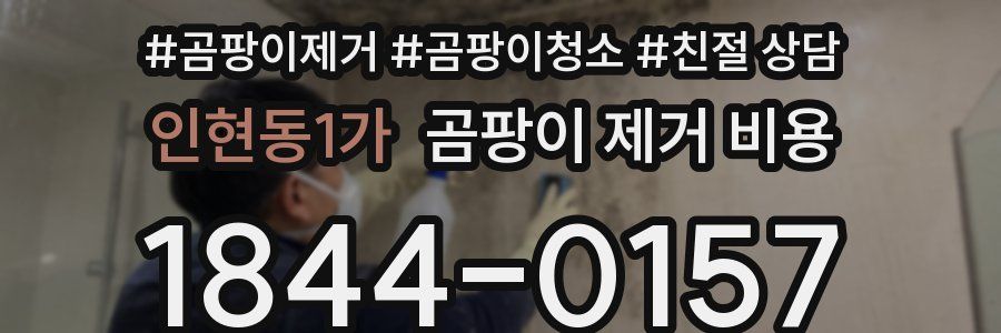 인현동1가 곰팡이 제거 비용