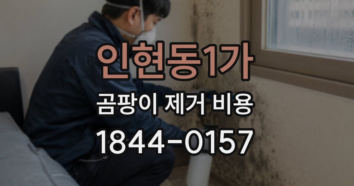 인현동1가 곰팡이 제거 비용