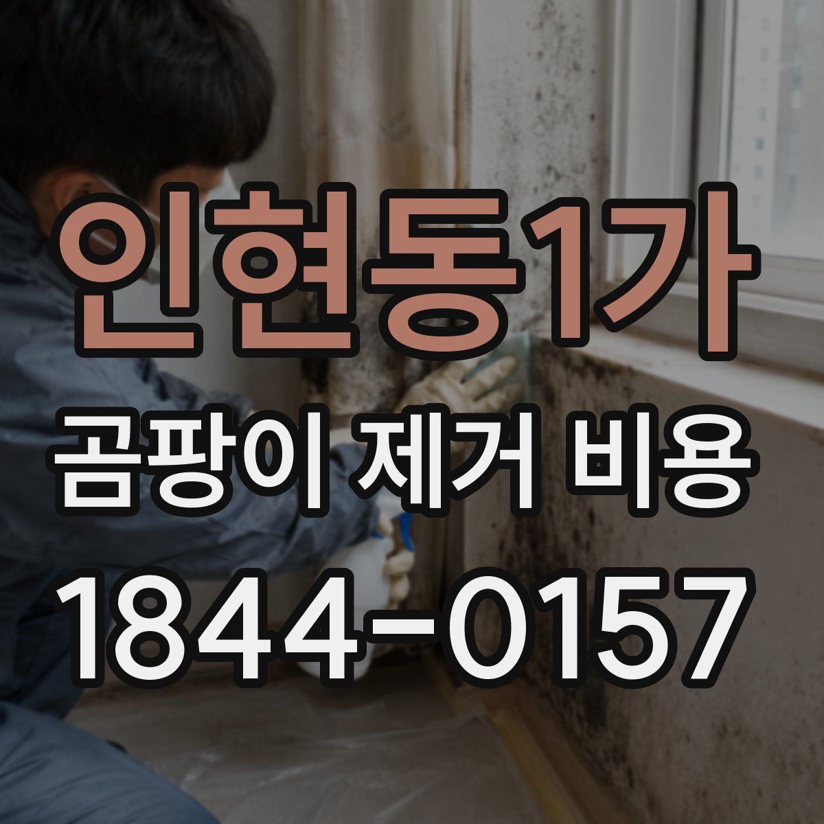 인현동1가 곰팡이 제거 비용