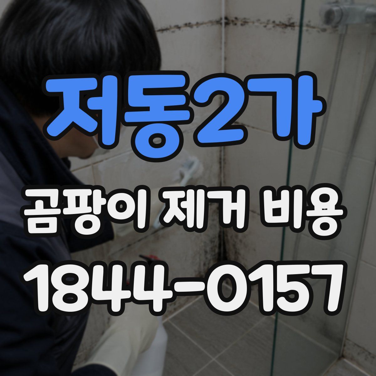 저동2가 곰팡이 제거 비용