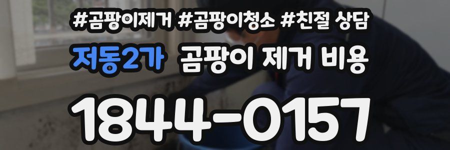 저동2가 곰팡이 제거 비용