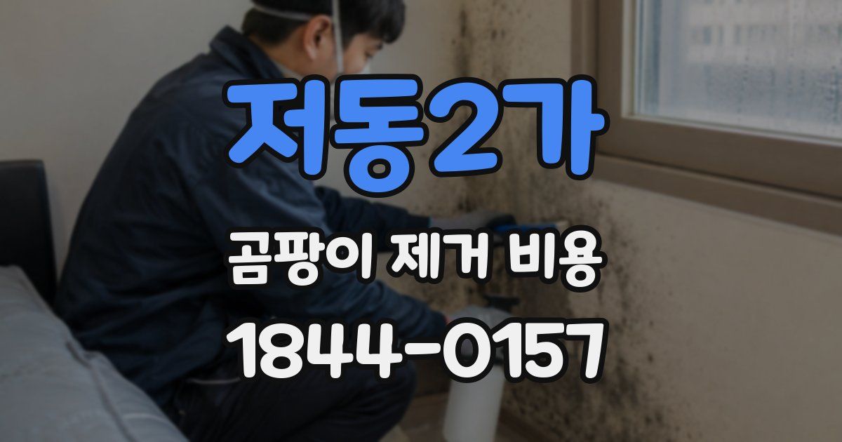 저동2가 곰팡이 제거 비용