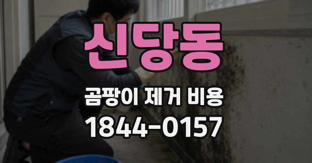 신당동 곰팡이 제거 비용