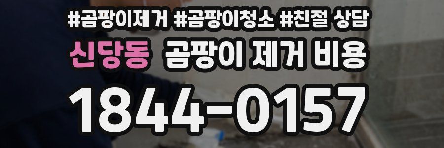 신당동 곰팡이 제거 비용