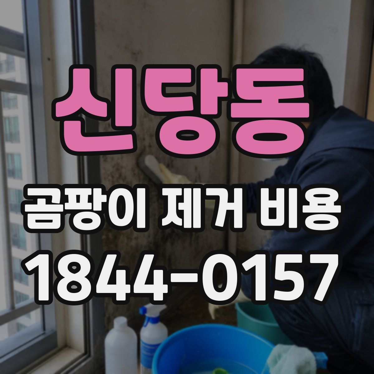 신당동 곰팡이 제거 비용