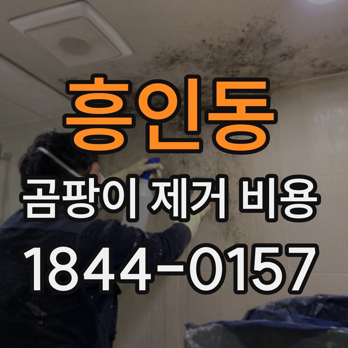 흥인동 곰팡이 제거 비용 견적을 받을 때 비교해야 할 순서