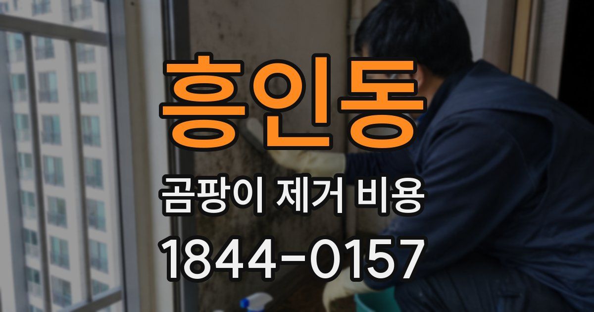 흥인동 곰팡이 제거 비용
