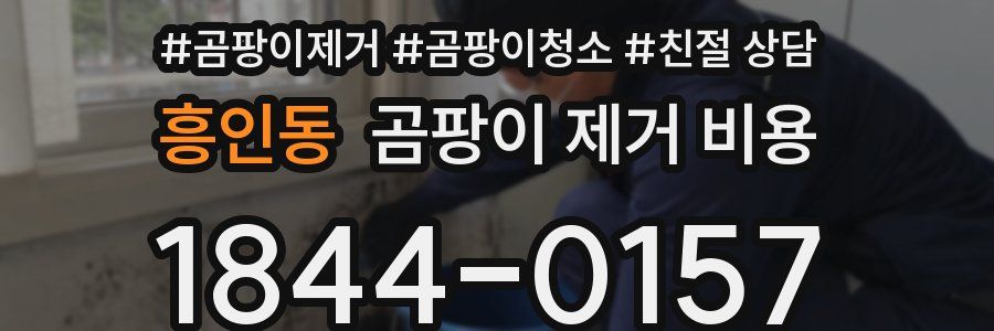 흥인동 곰팡이 제거 비용