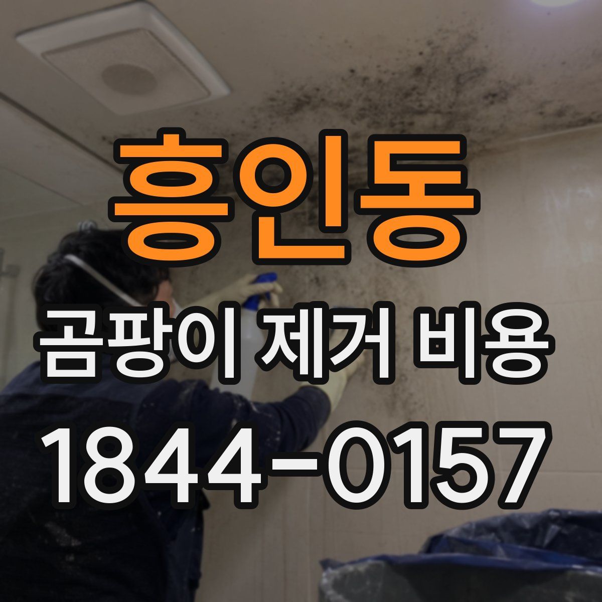 흥인동 곰팡이 제거 비용
