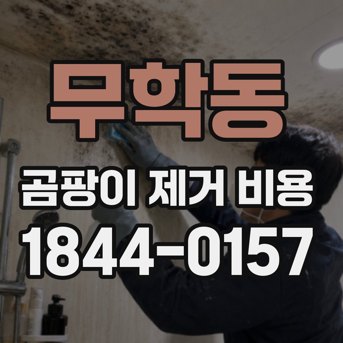 무학동 곰팡이 제거 비용
