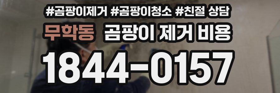 무학동 곰팡이 제거 비용