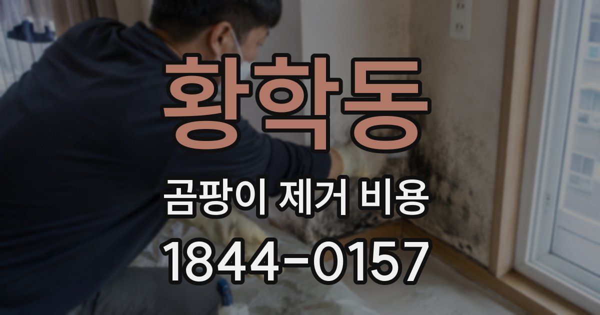 황학동 곰팡이 제거 비용