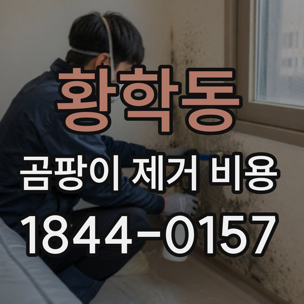 황학동 곰팡이 제거 비용