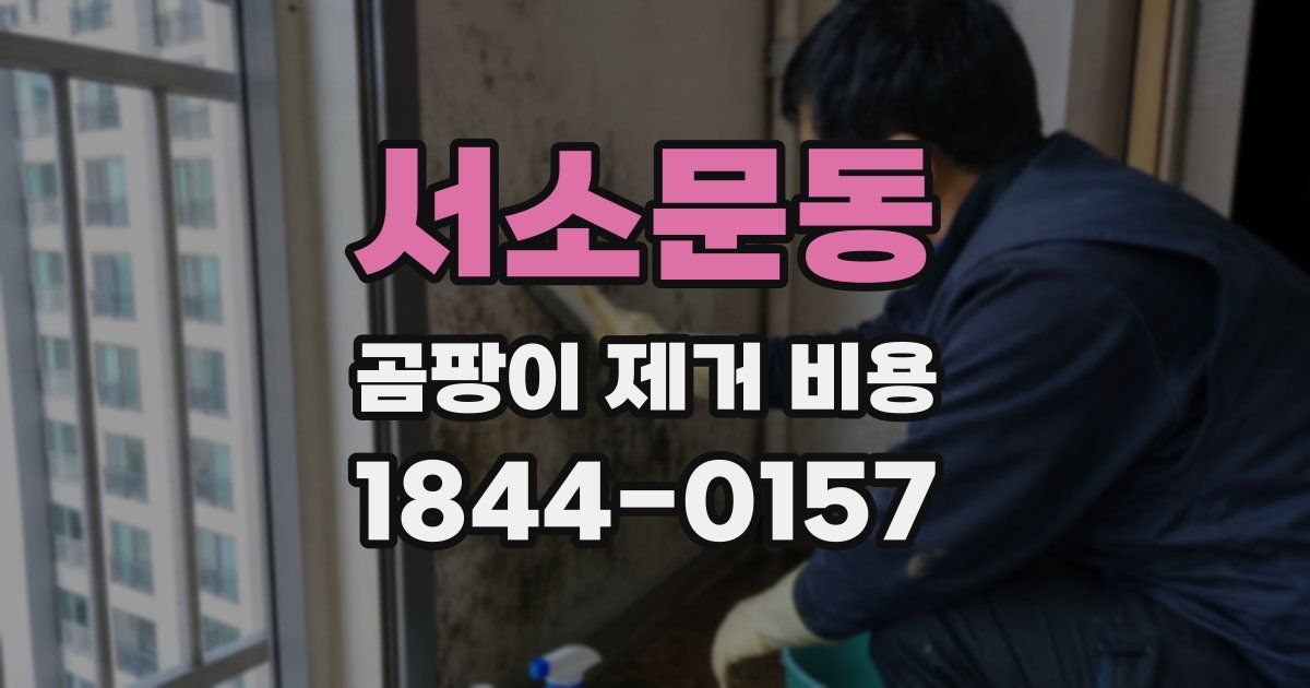 서소문동 곰팡이 제거 비용
