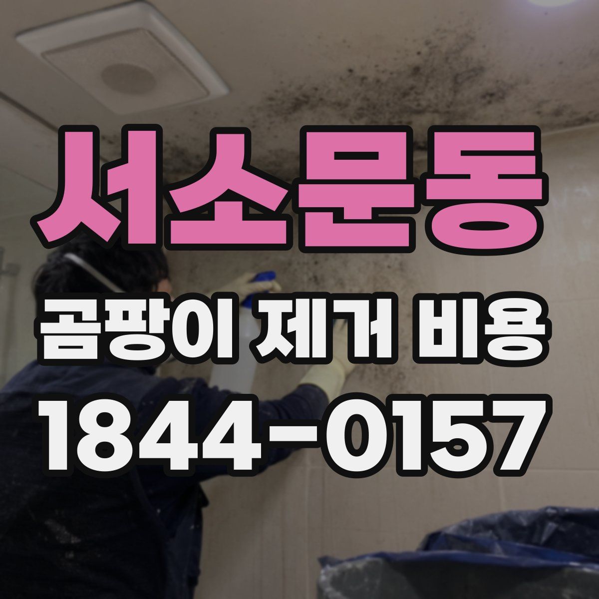 서소문동 곰팡이 제거 비용