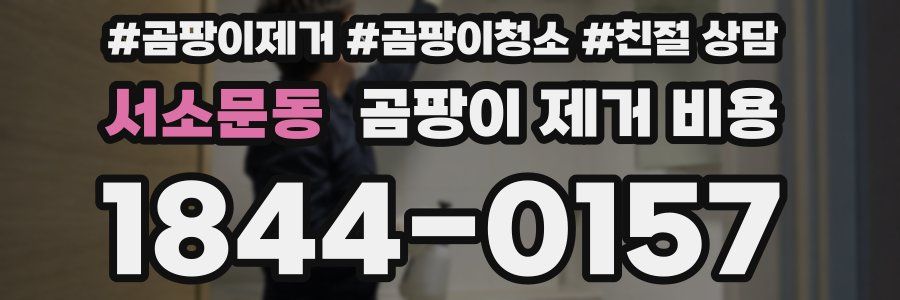 서소문동 곰팡이 제거 비용