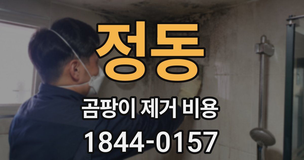 정동 곰팡이 제거 비용
