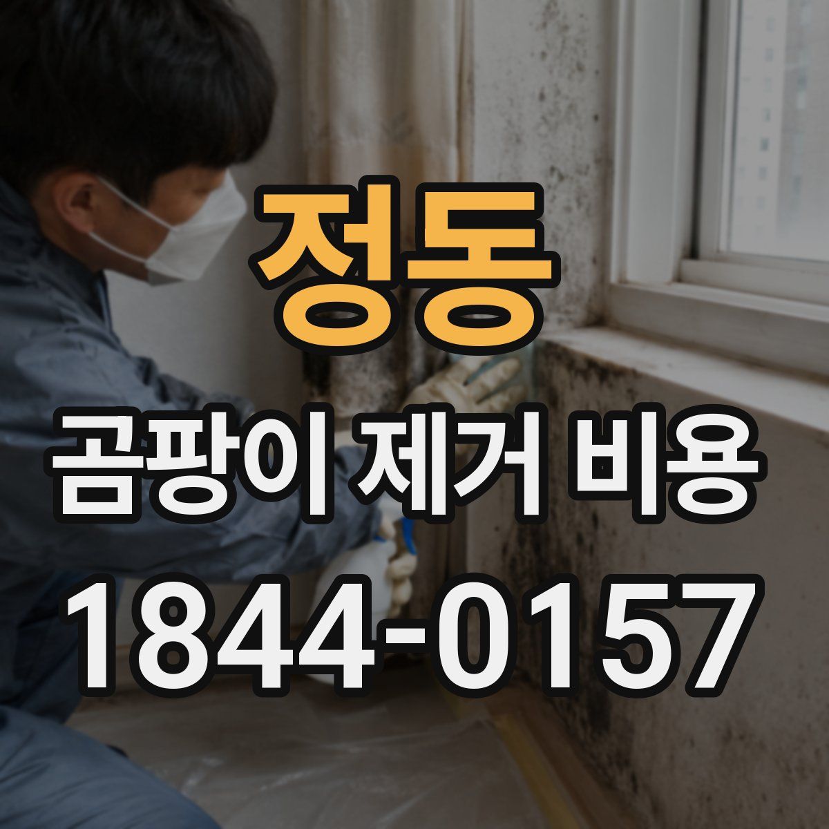 정동 곰팡이 제거 비용
