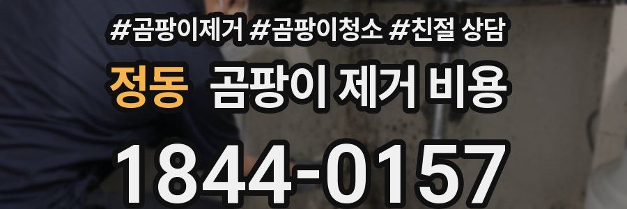 정동 곰팡이 제거 비용