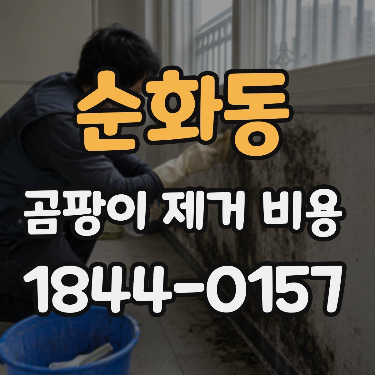 순화동 곰팡이 제거 비용