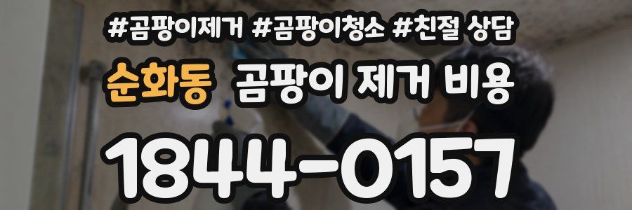 순화동 곰팡이 제거 비용