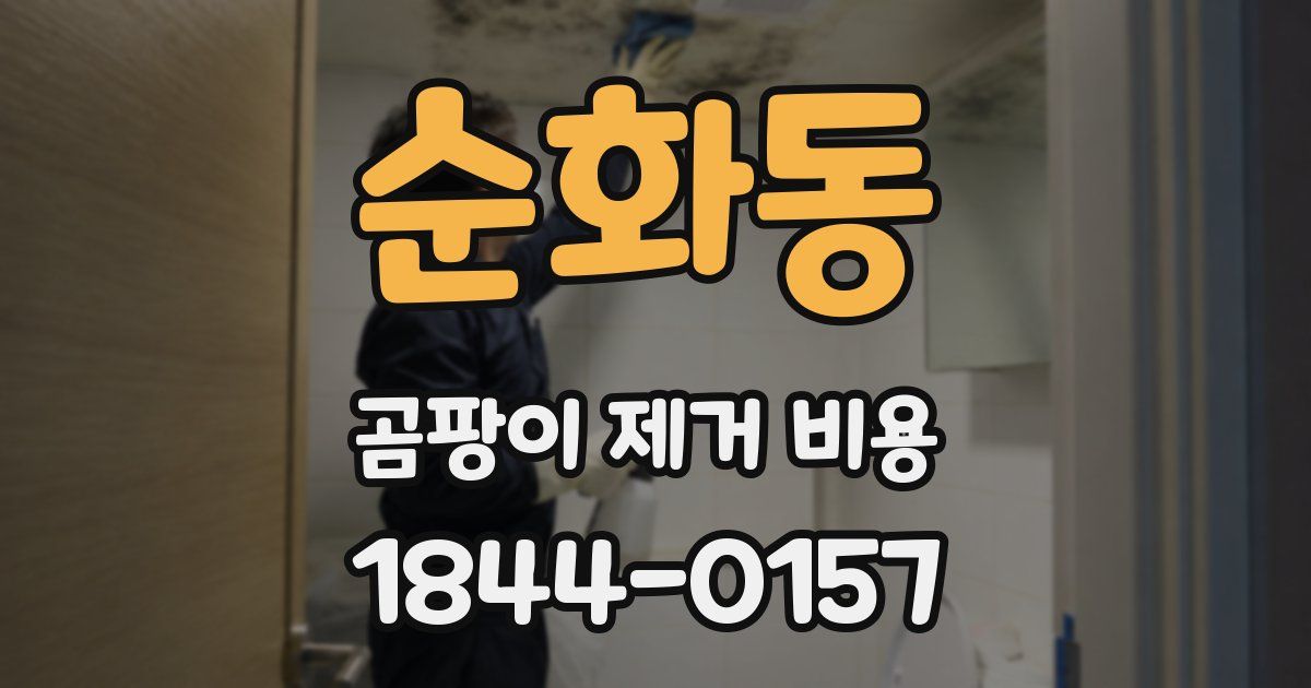 순화동 곰팡이 제거 비용