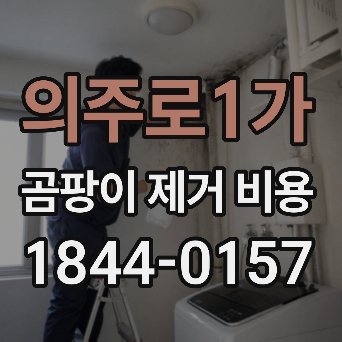의주로1가 곰팡이 제거 비용 확인 전 해야 할 현장 점검
