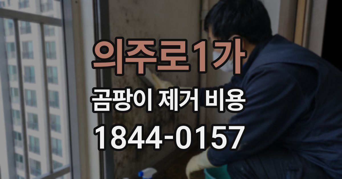 의주로1가 곰팡이 제거 비용