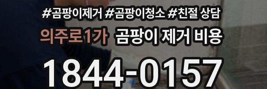 의주로1가 곰팡이 제거 비용