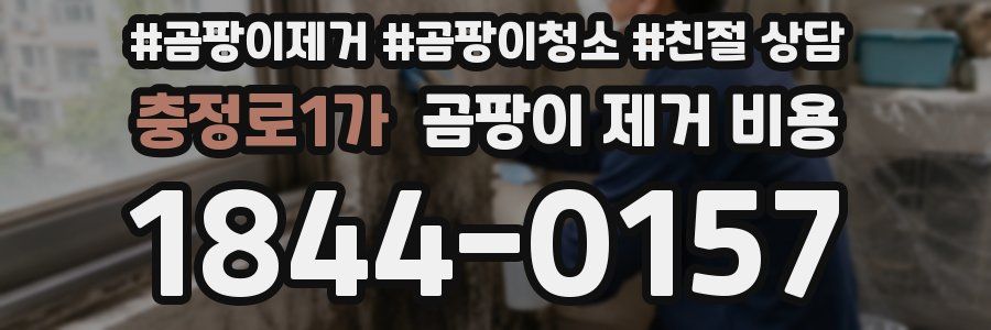 충정로1가 곰팡이 제거 비용