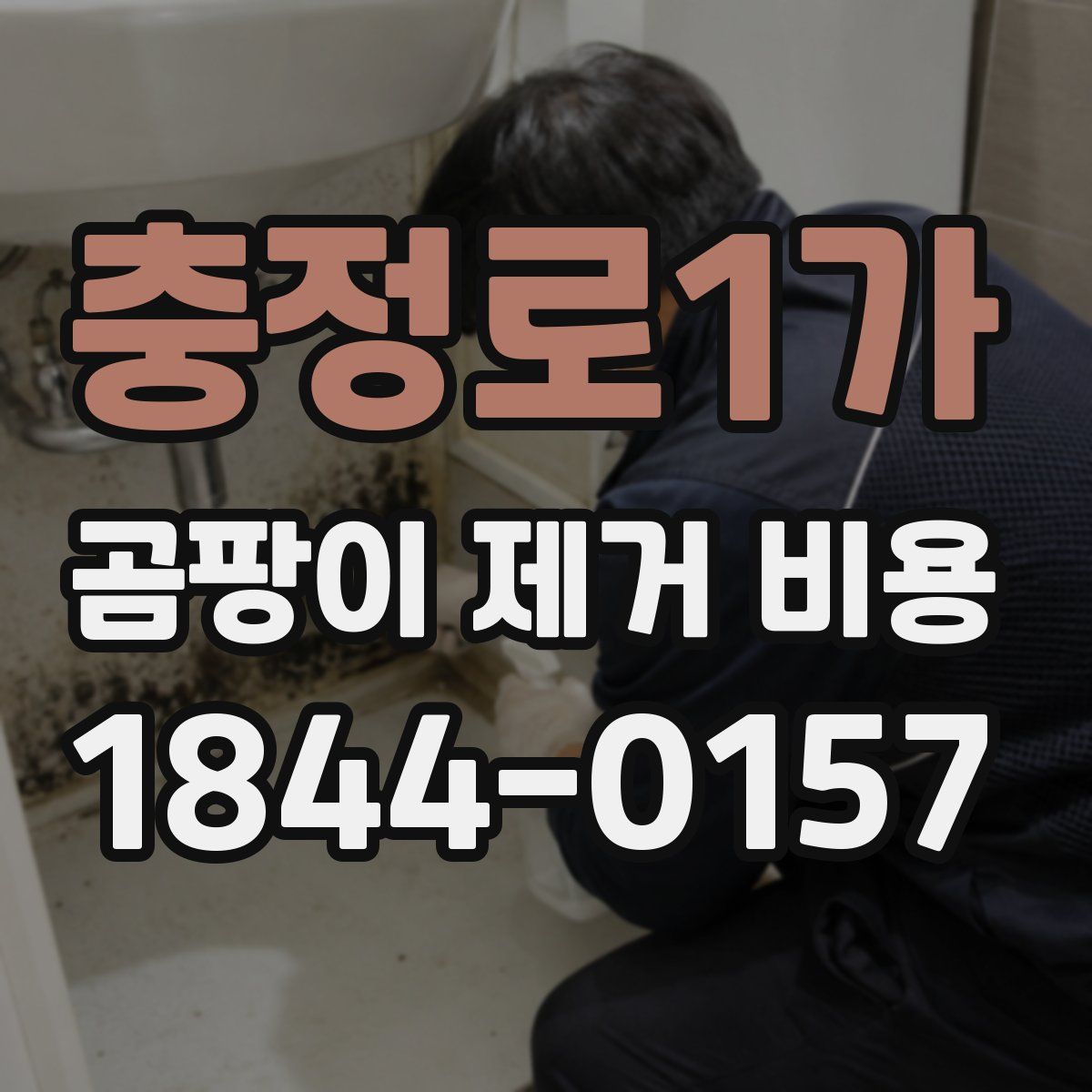충정로1가 곰팡이 제거 비용