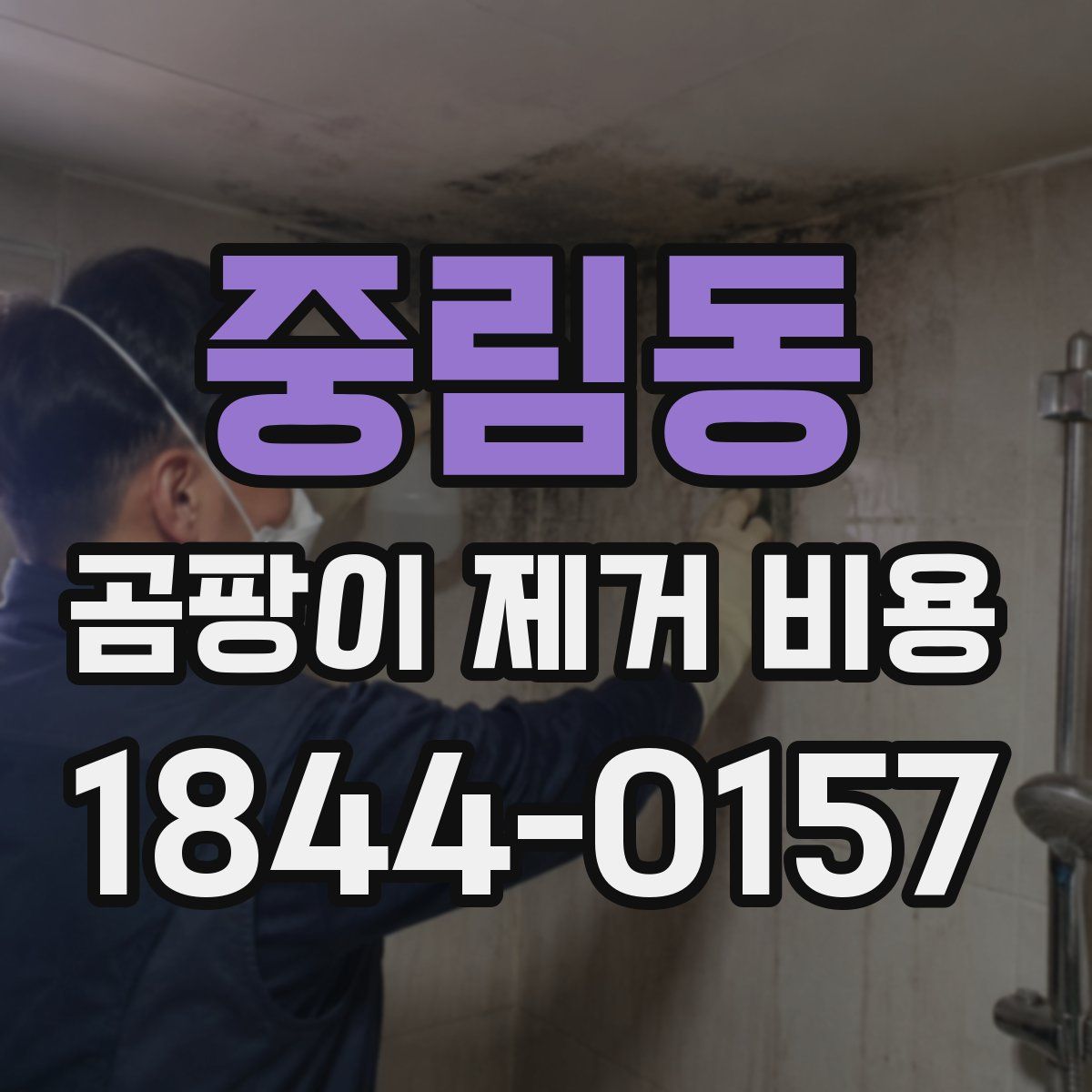 중림동 곰팡이 제거 비용