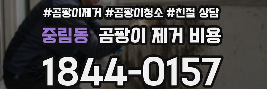 중림동 곰팡이 제거 비용