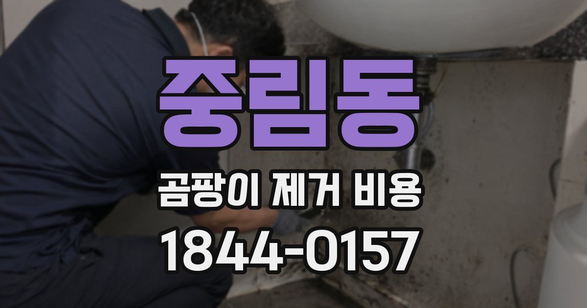 중림동 곰팡이 제거 비용