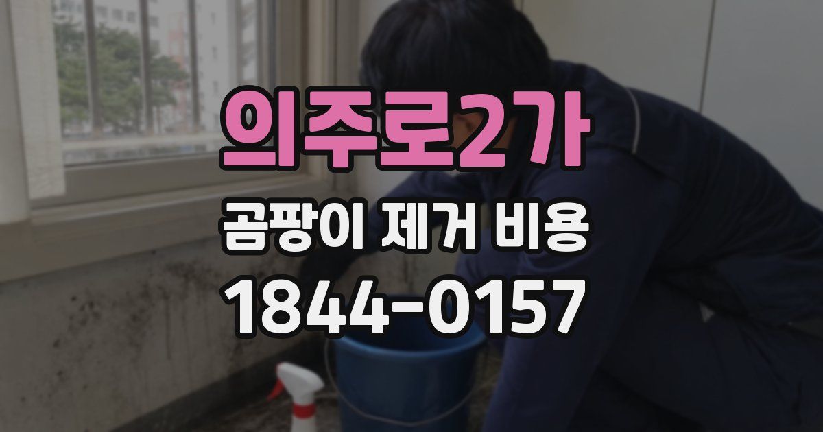 의주로2가 곰팡이 제거 비용