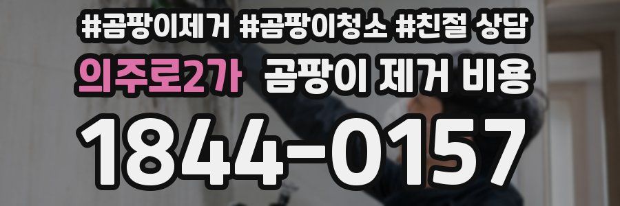 의주로2가 곰팡이 제거 비용