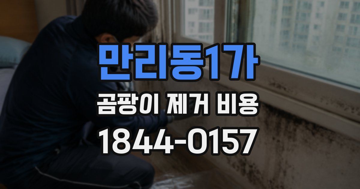 만리동1가 곰팡이 제거 비용