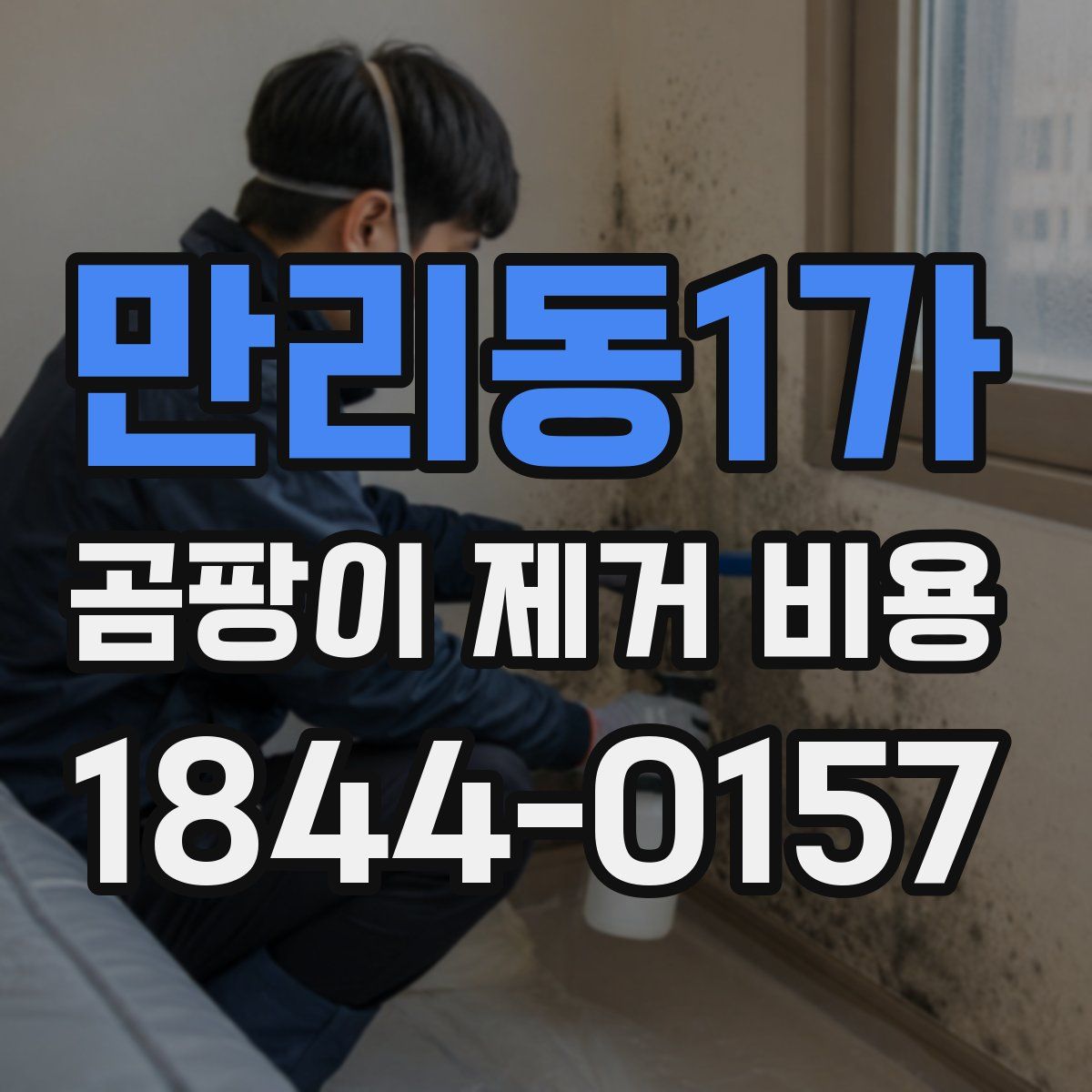 만리동1가 곰팡이 제거 비용